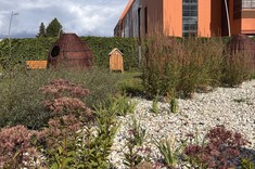 Zdjęcie: Na pierwszym planie ogród z niską zielenią i żwirową nawierzchnią, na drugim planie proste, drewniane wyposażenie placu zabaw i budynek w jaskrawo pomarańczowym kolorze.