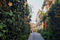 Wąska uliczka w historycznej zabudowie miejskiej. Ściany budynków ukryte za ścianą intensywnej zieleni.