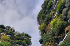 Zdjęcie wykonane ze skierowanym do góry obiektywem. Dwa wysokie budynki, których elewacje są niemal w całości pokryte zielenią na tle niebieskiego nieba. 